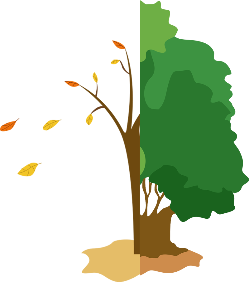 INVT 携手 “绿色光伏” ，助力“荒漠崛起”